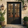 Modern Double Wood Entry Doors with Glass